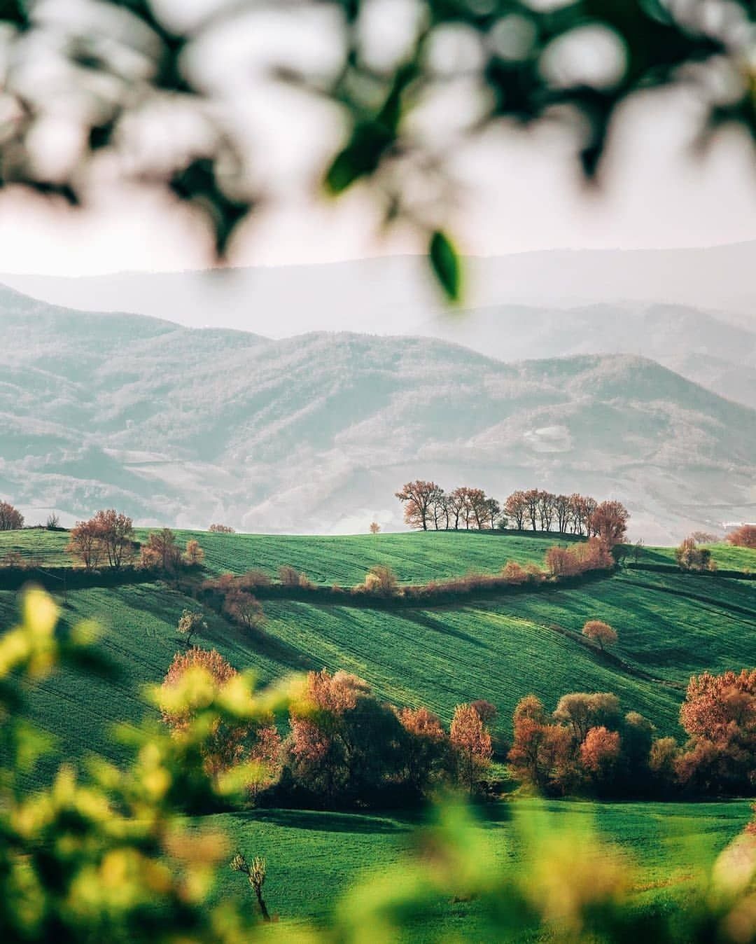 KUŞ CENNETİYLE | BALIKESİR