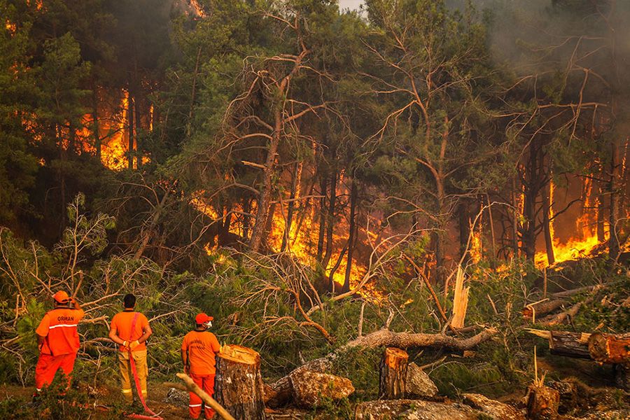 Türkiye'de ki Orman Yangınlarında Son Durum