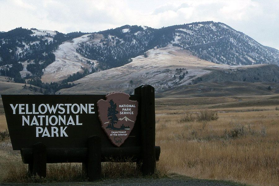 Yellowstone Millî Parkı Hakkında Bilgiler