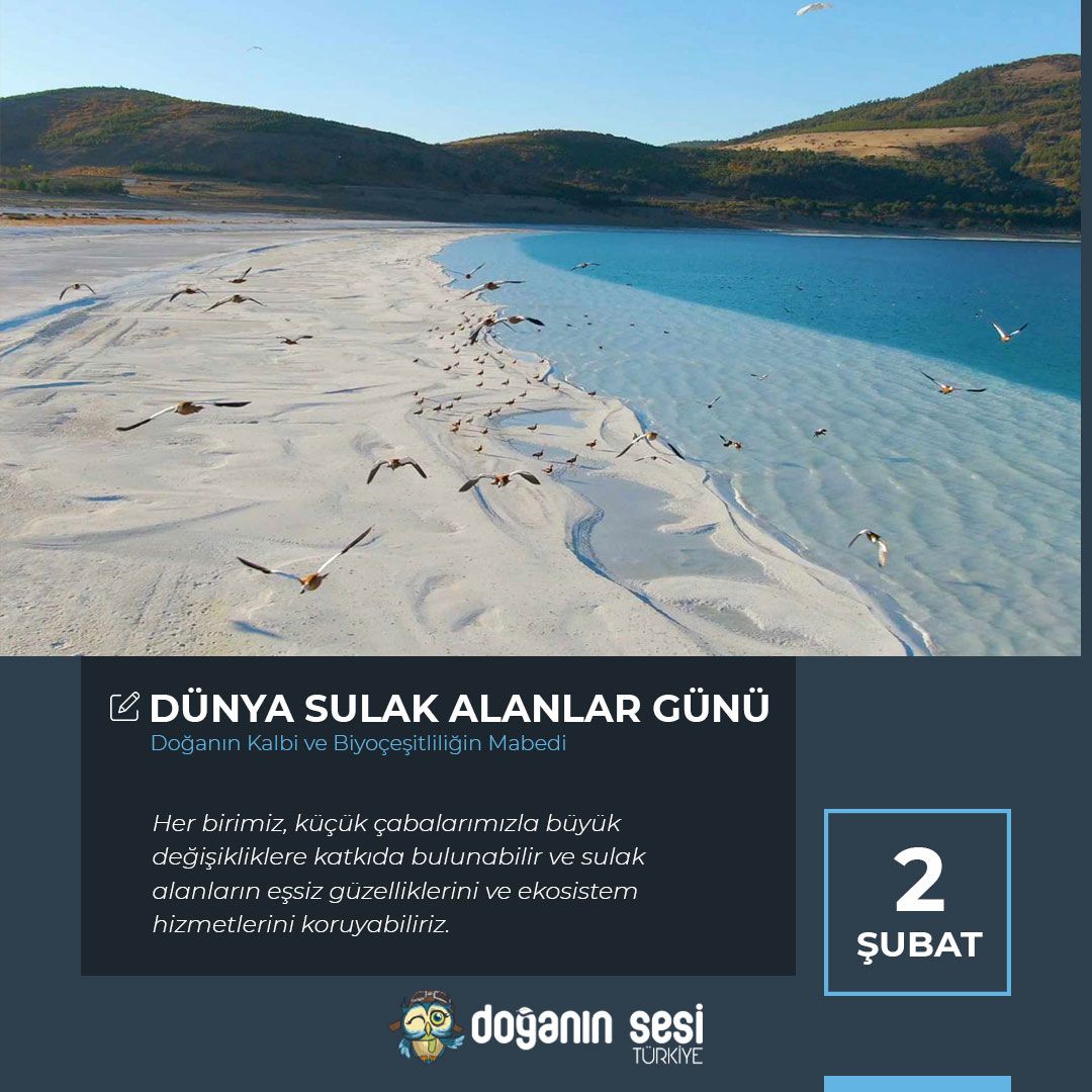 Dünya Sulak Alanlar Günü